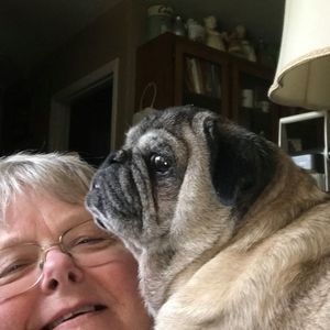 Meet your Posher, Coline